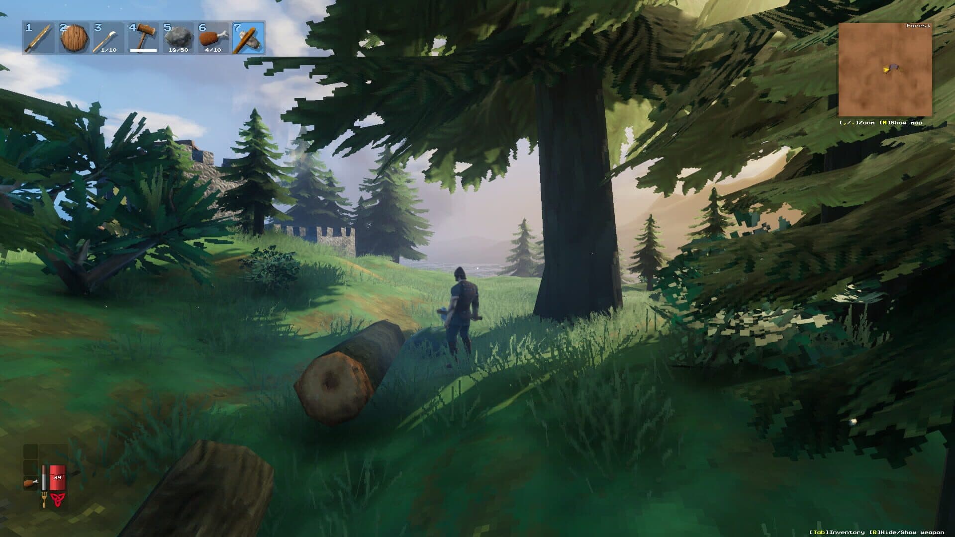 اسکرین‌شات Valheim - 8