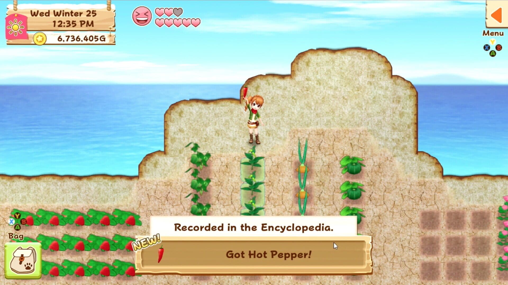Harvest Moon: Light of Hope screenshot 0
