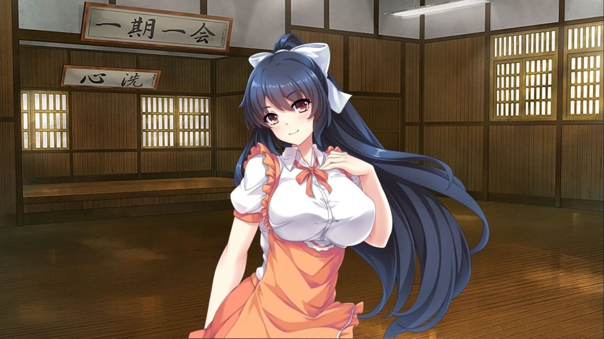 Pretty Girls Breakers! Plus screenshot 1