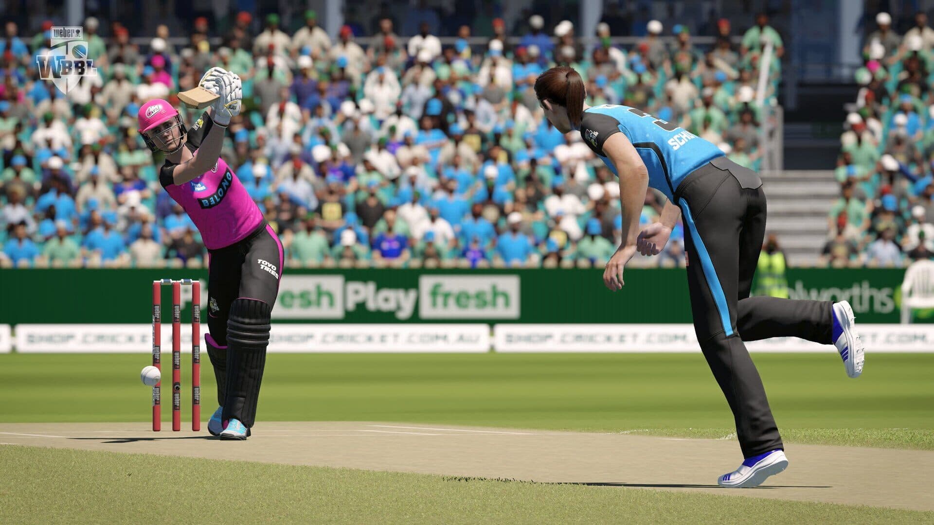 Cricket 24 screenshot 6