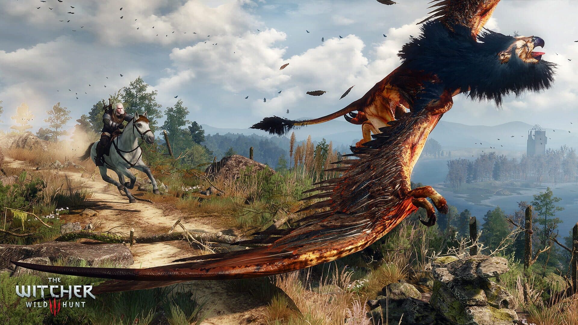 The Witcher 3: Wild Hunt screenshot 5