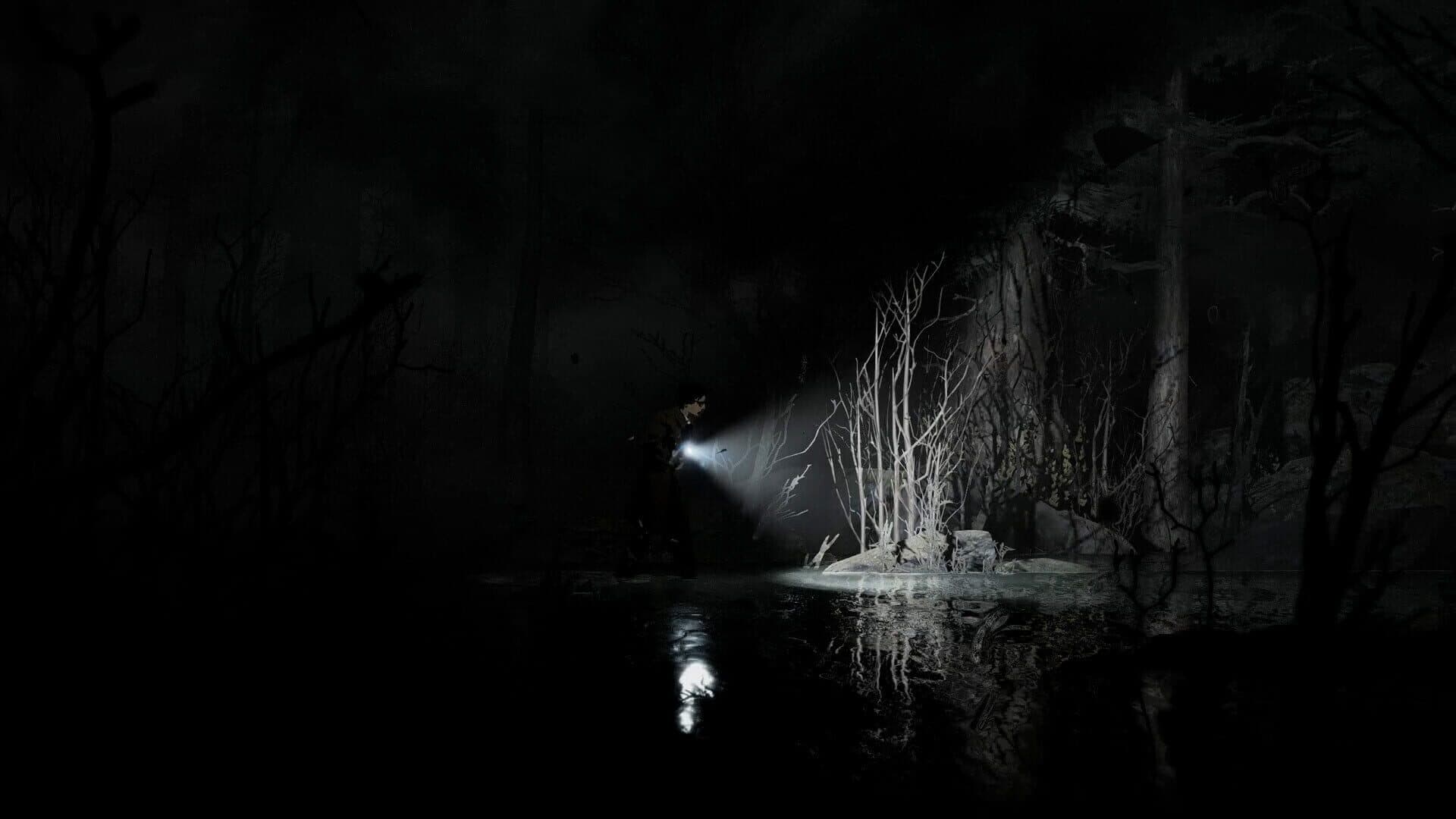 Silver Pines screenshot 8