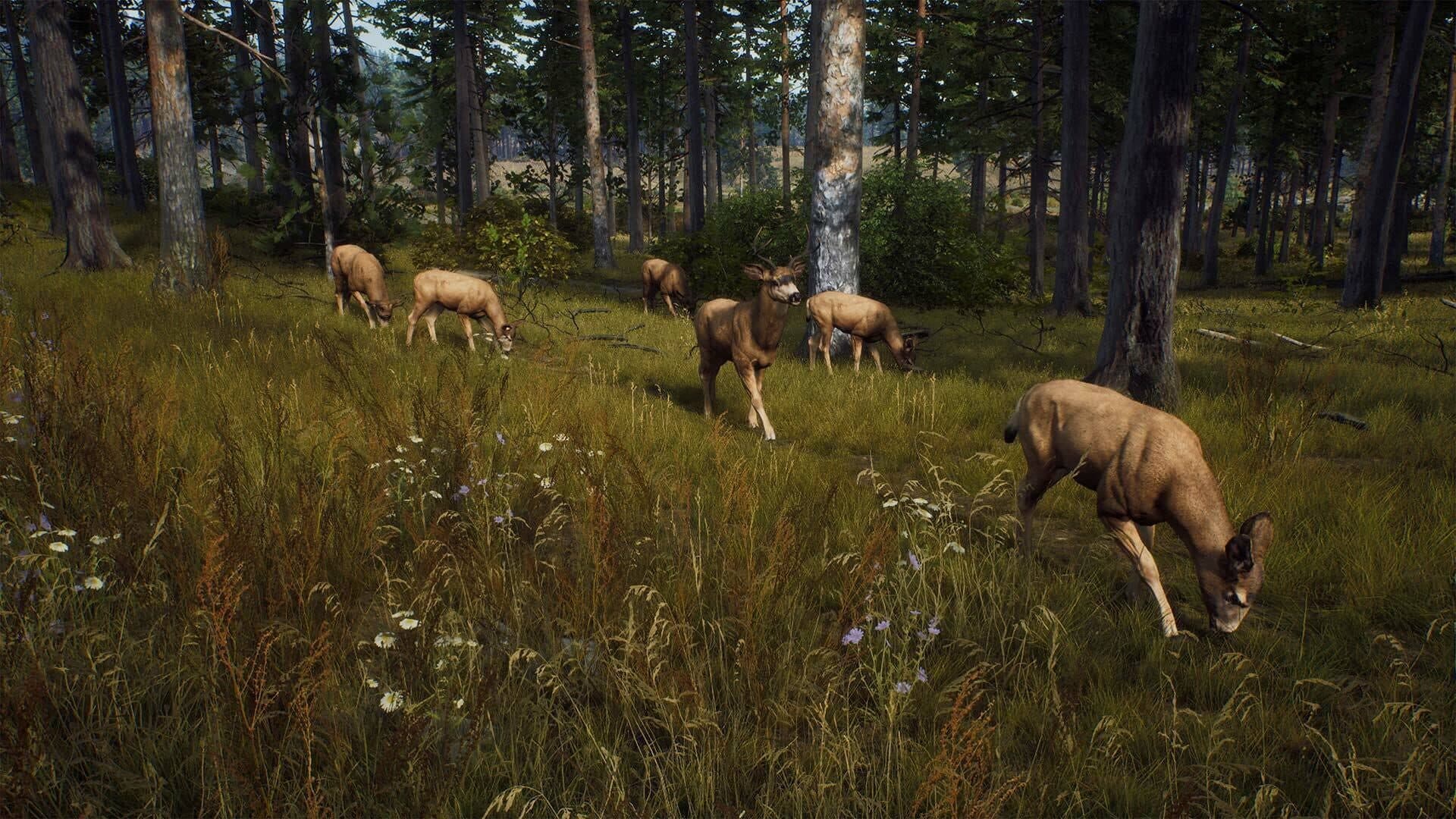 Way of the Hunter screenshot 4