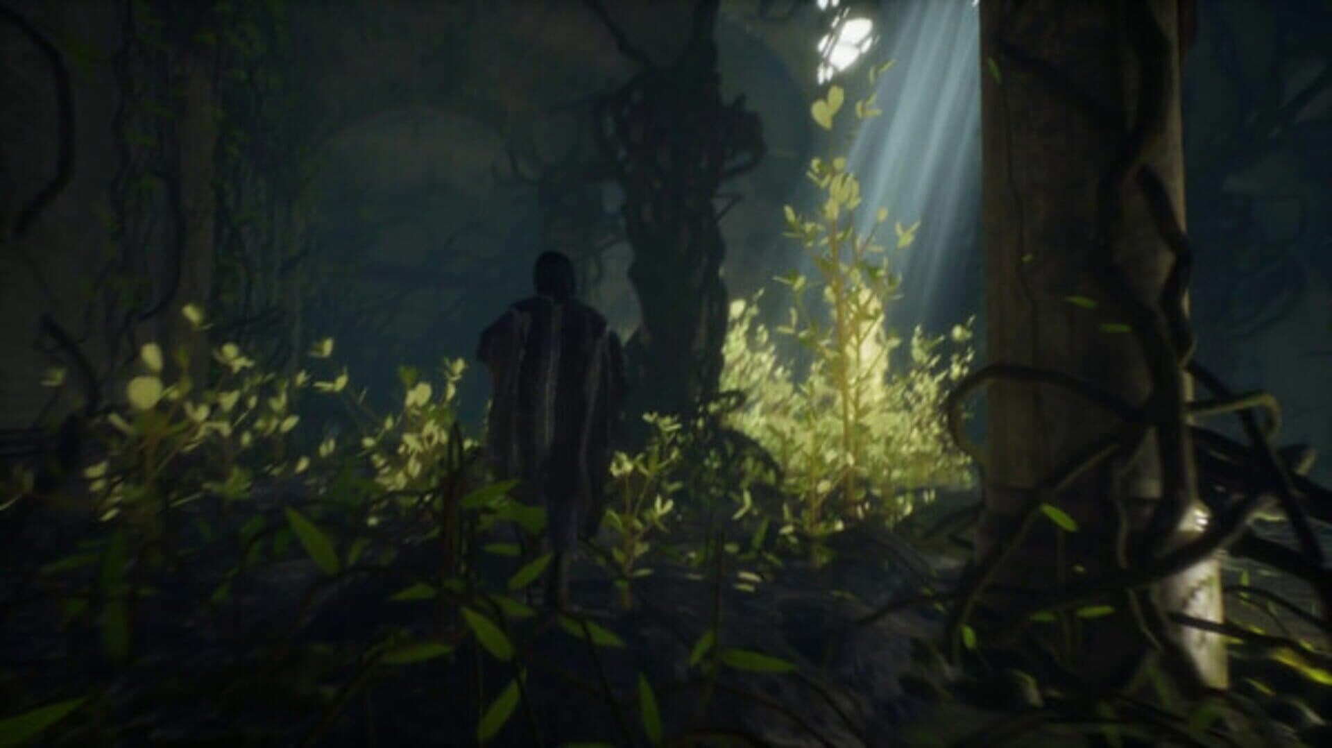 Curilemu screenshot 13