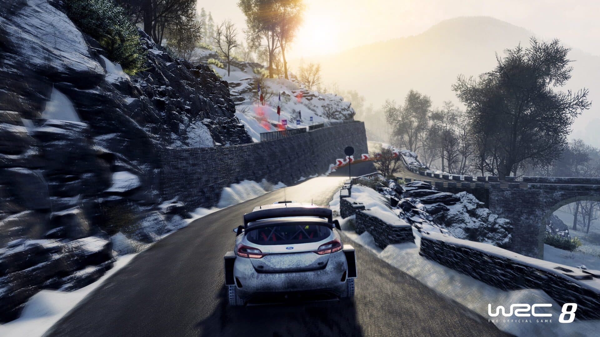WRC 8 screenshot 5