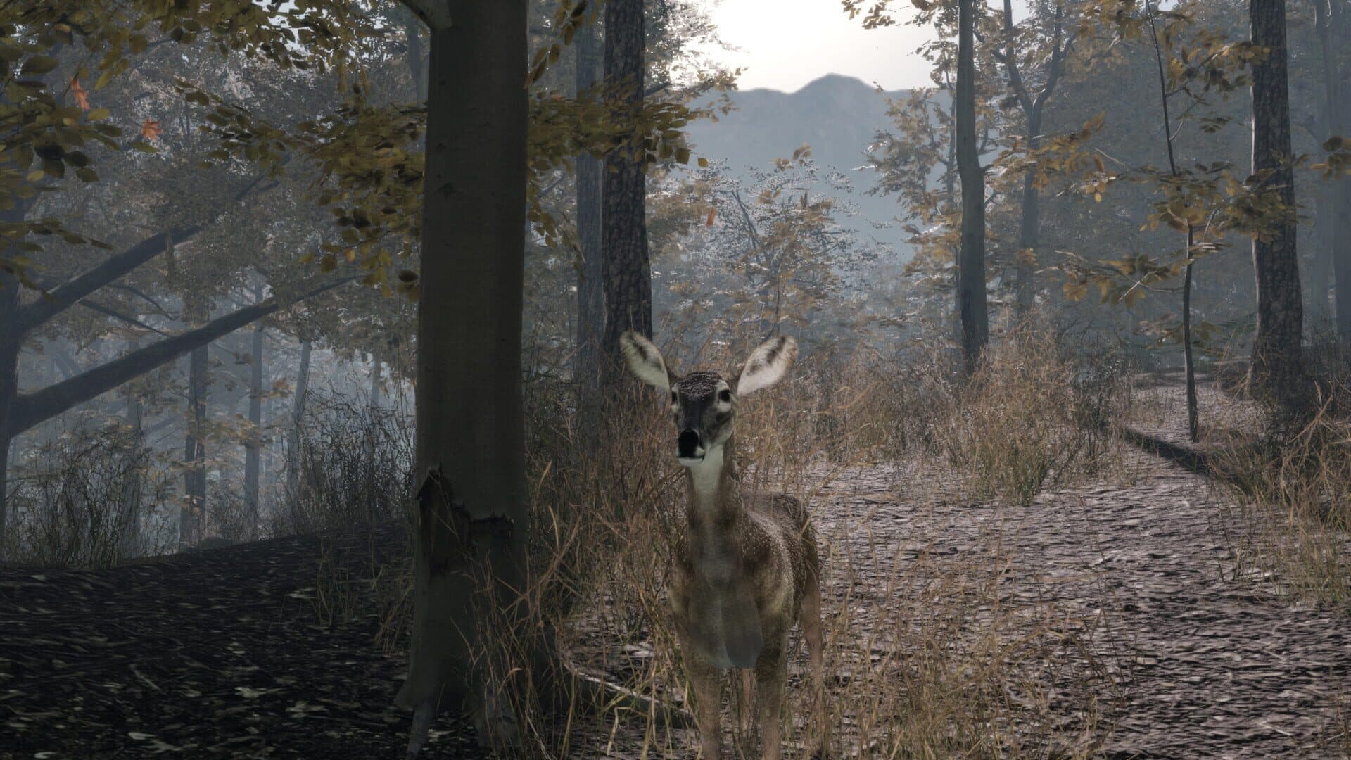 اسکرین‌شات Pro Deer Hunting 2 - 1