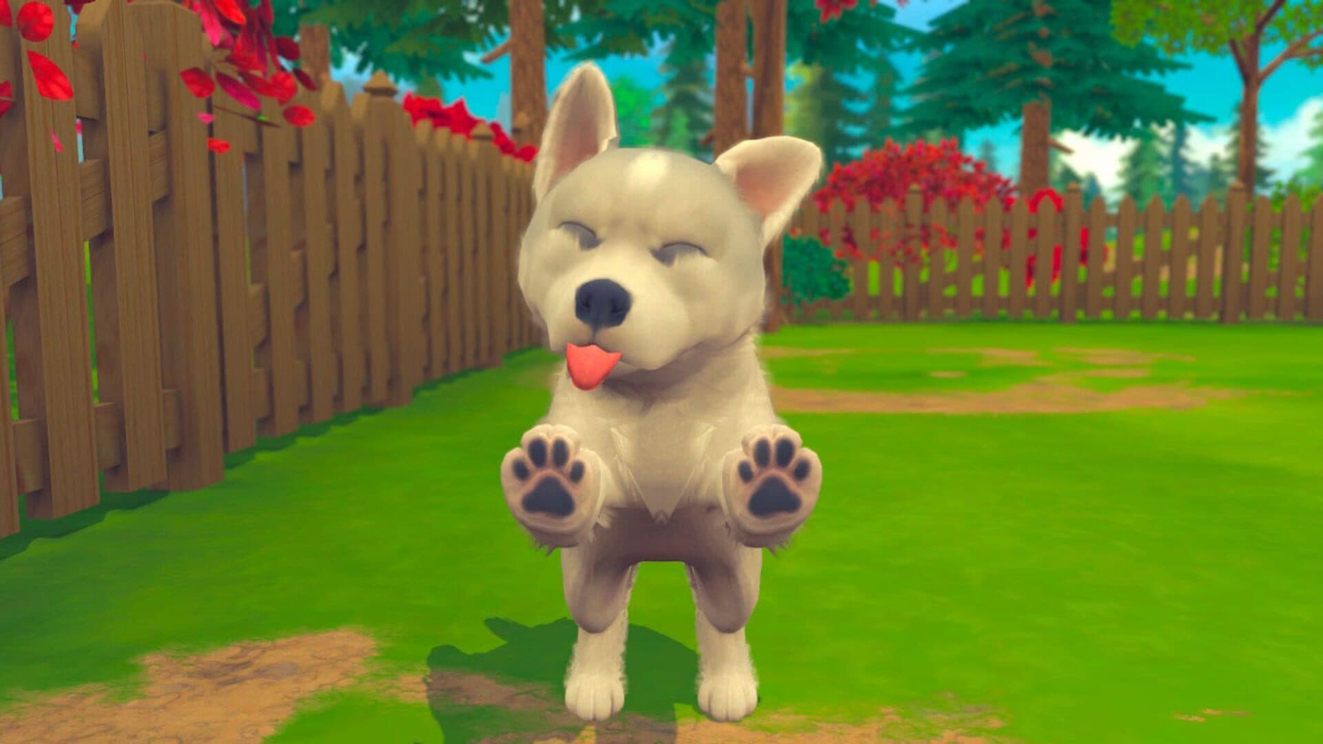 My Universe: Puppies and Kittens screenshot 3